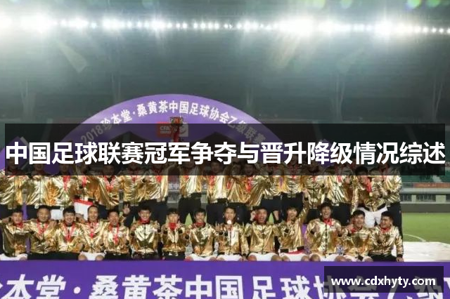 中国足球联赛冠军争夺与晋升降级情况综述