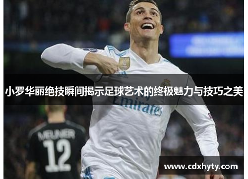 小罗华丽绝技瞬间揭示足球艺术的终极魅力与技巧之美
